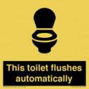 this-toilet-flushes-automatically~
